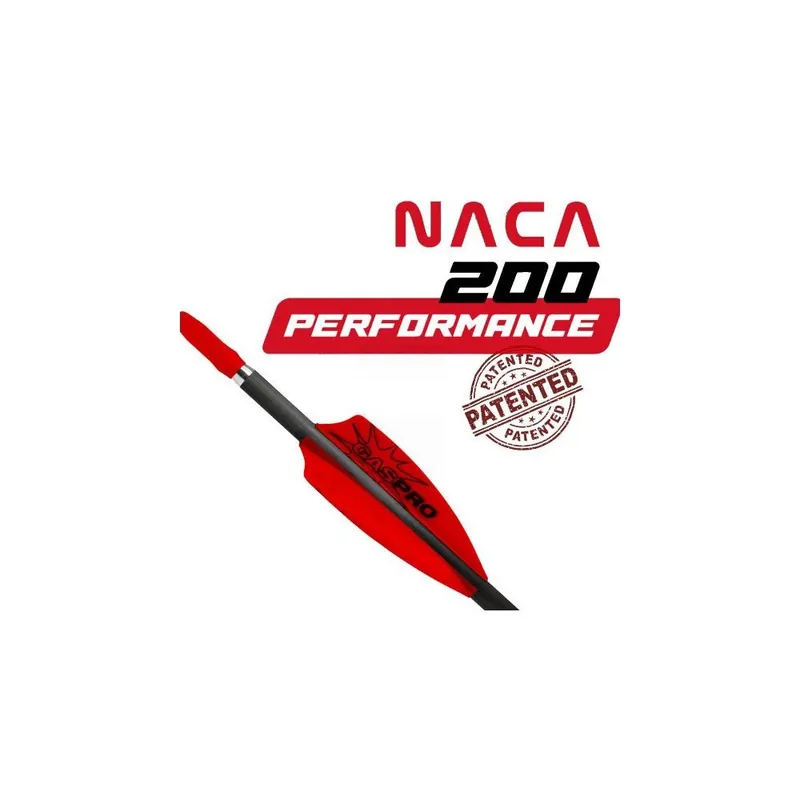 GAS PRO ALETTE NACA 200 PERFORMANCE