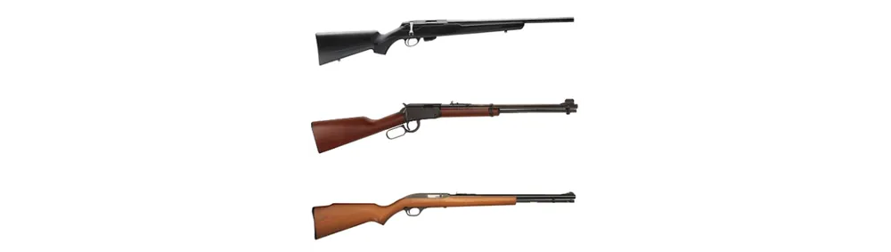 Carabine calibro .22