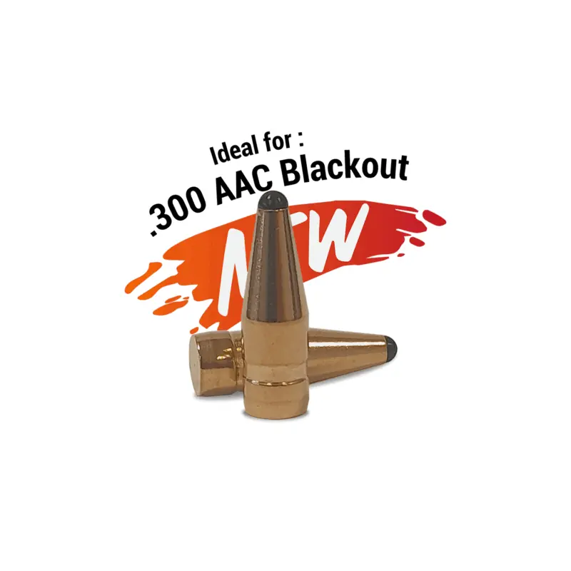 PALLE - FOX BULLETS - CLASSIC HUNTER CAL. .30 (.308) 110g (50pz)