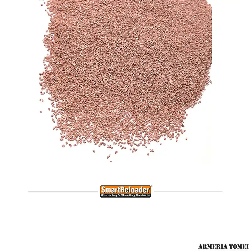 SMARTRELOADER - EXTREME BRASS CLEANING WALNUT MEDIA (2kg.)