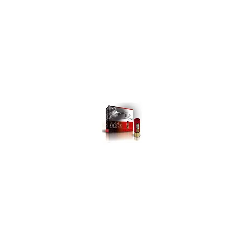 BASCHIERI CARTUCCE DUAL SHOCK C12