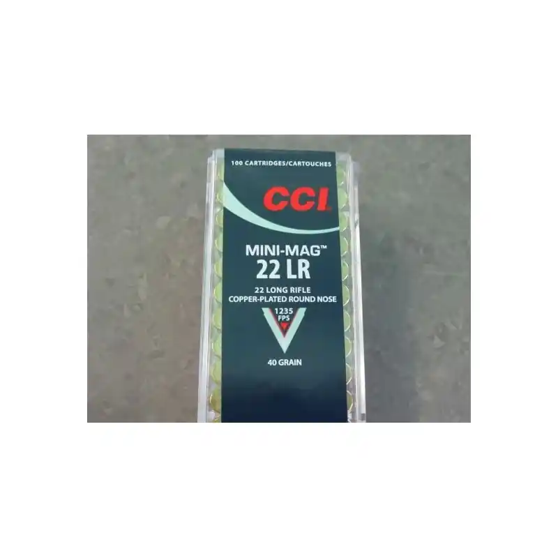 CCI CARICHE 22LR MINI-MAG 40 GR CP