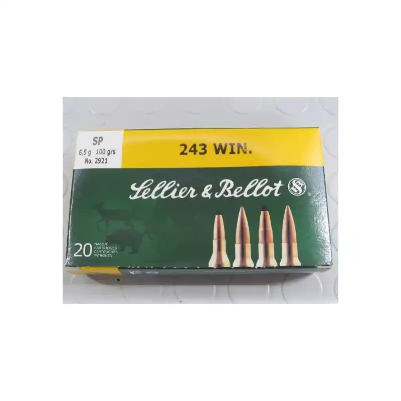 S&B CARICHE CAL 243 WIN SP 100 GR