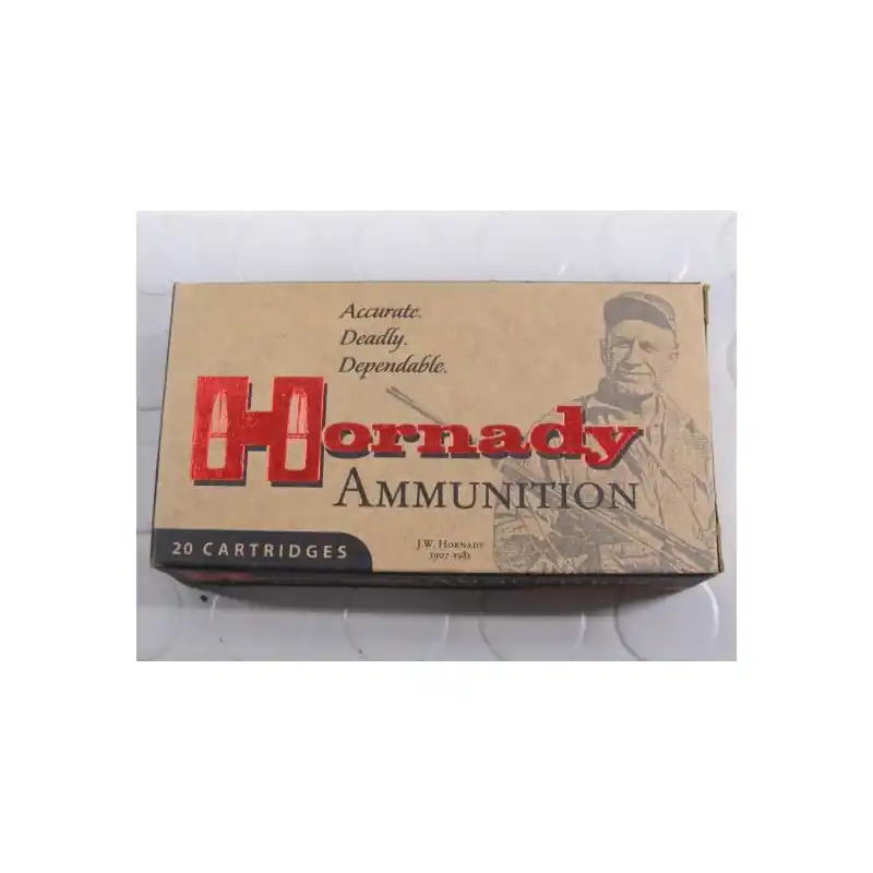 HORNADY CARICHE 300 AAC GR 110