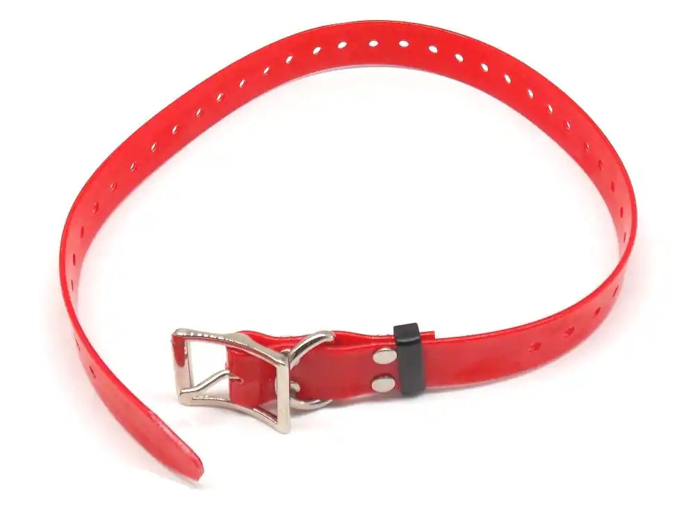 Collare biothene plastificato per cane
