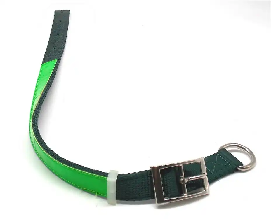 Collare luminescente per cane