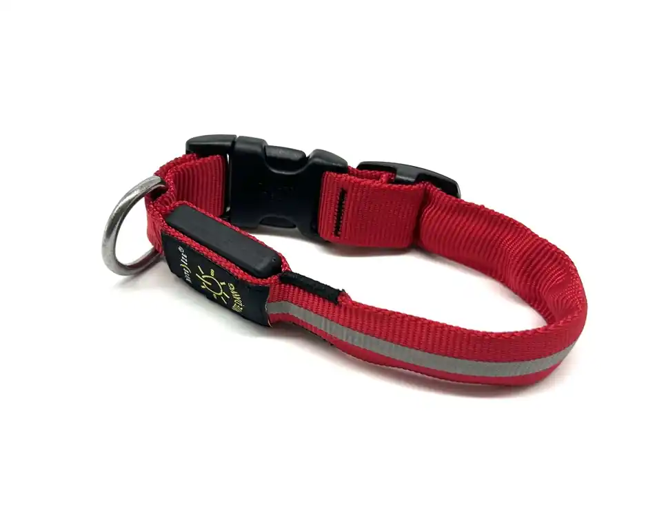 Collare luminoso Nite ize a led per cane