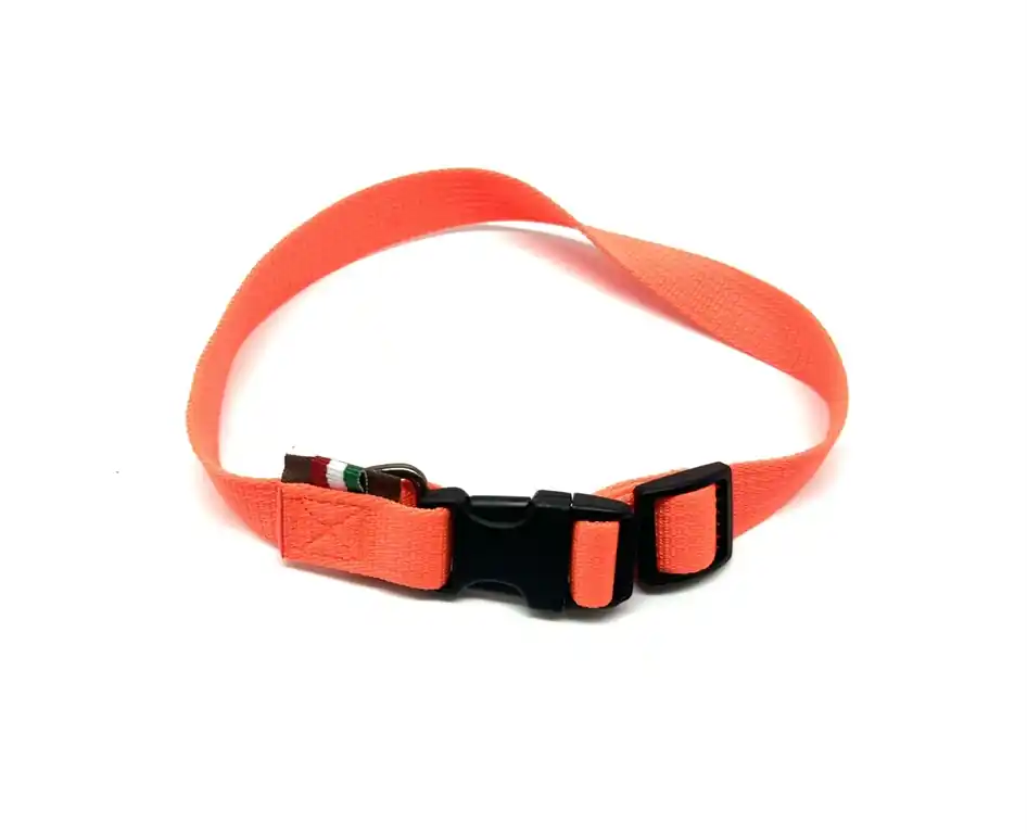 Collare Delfiero nylon arancione 2,5x60 cm per cane
