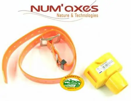 CANICOM Collare CANIBEEP RADIO PRO arancio