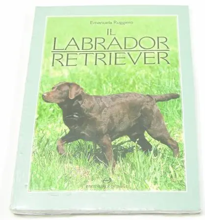 OLIMPIA Il labrador Retriever
