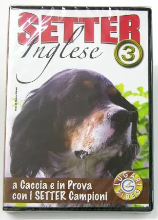 LUGARI Setter Inglese 3