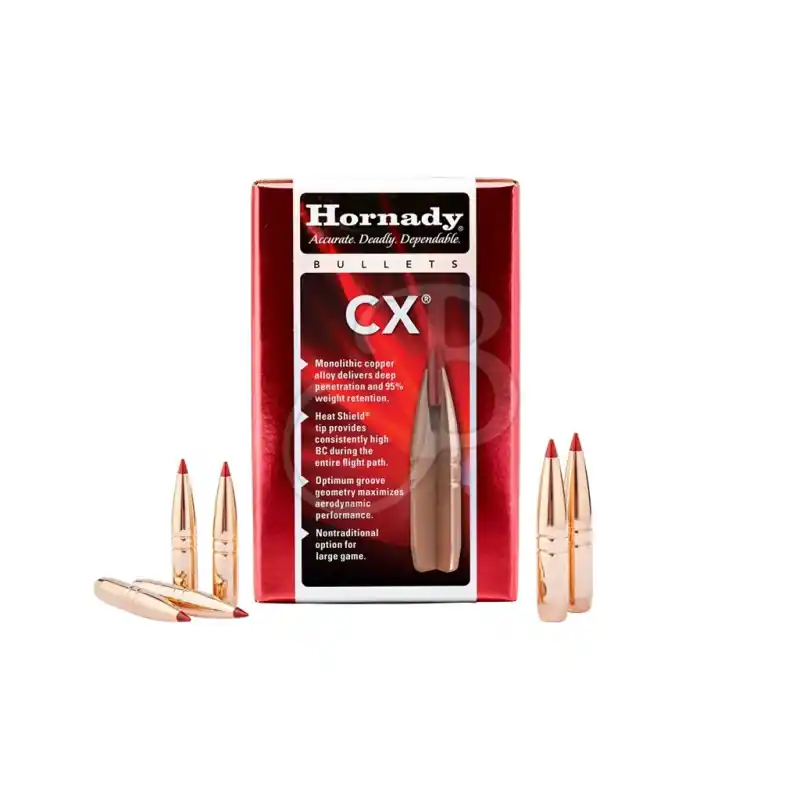 HORNADY PALLE CAL 270 130 GR CX