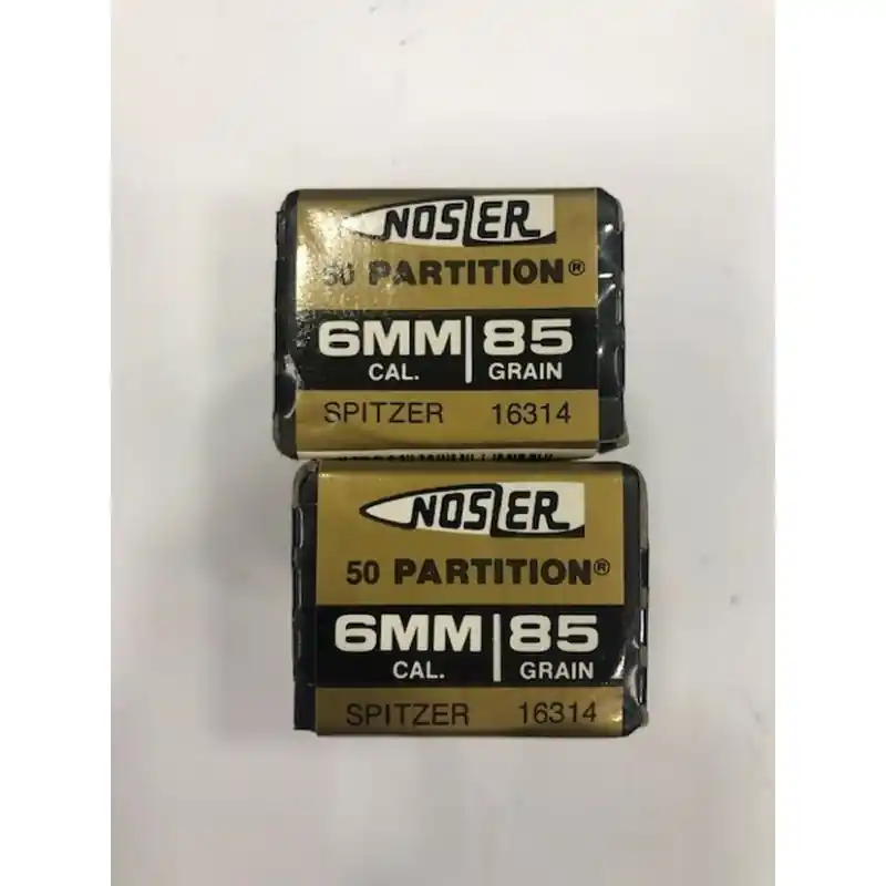 NOSLER PARTITION PALLE C 6MM GR 85