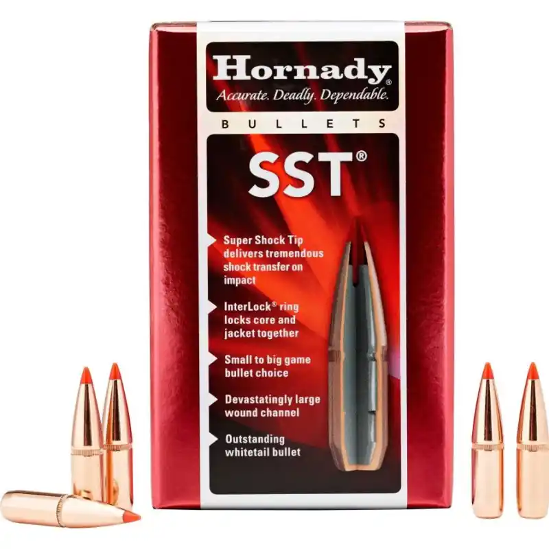 HORNADY PALLE CAL 6,5 SST 123 GR