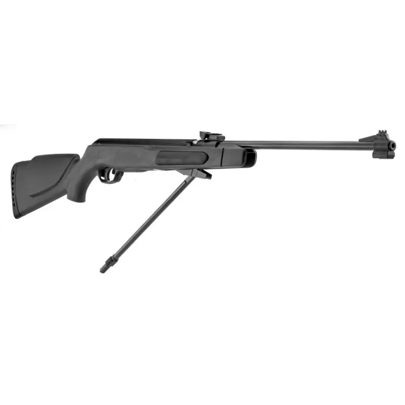 GAMO CARABINA LIB V BIG CAT CF S