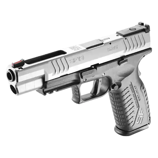 HS SF19 5,25 Stainless/black cal.9x21