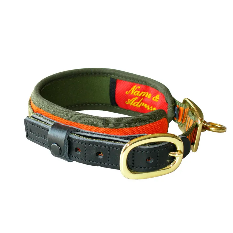 COLLARE DELUXE ORANGE PER CANI NIGGELOH