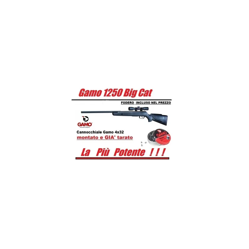 Gamo Big Cat + Ottica 4x32 & Fodero