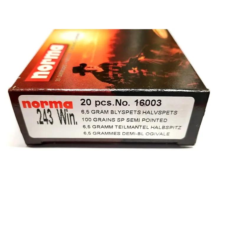 NORMA 243 Win - 100 gr SP