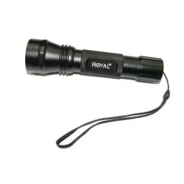 Torcia al led fascio di profondita (t10w)