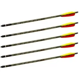 5 frecce per balestra da 20"" TC