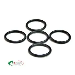 O-RING di tenuta per spingipallino (ORTS2)